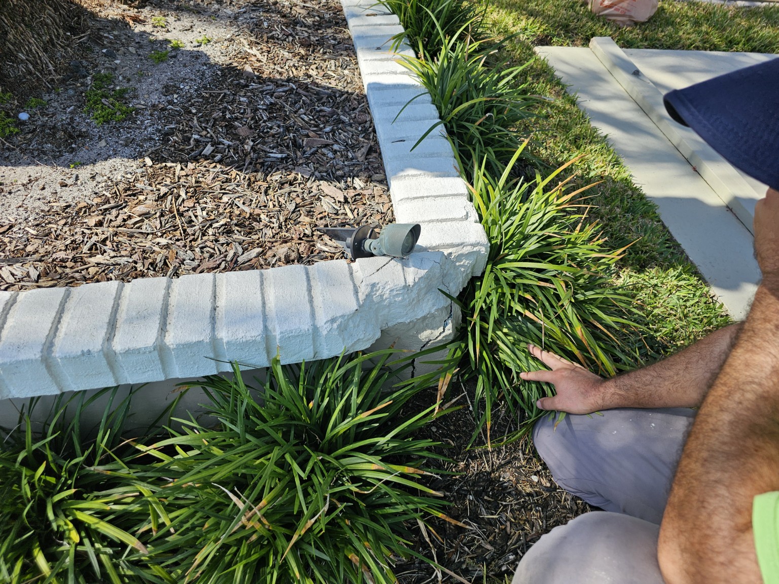 Close view of cracking near vegetation and the garden-wall corner