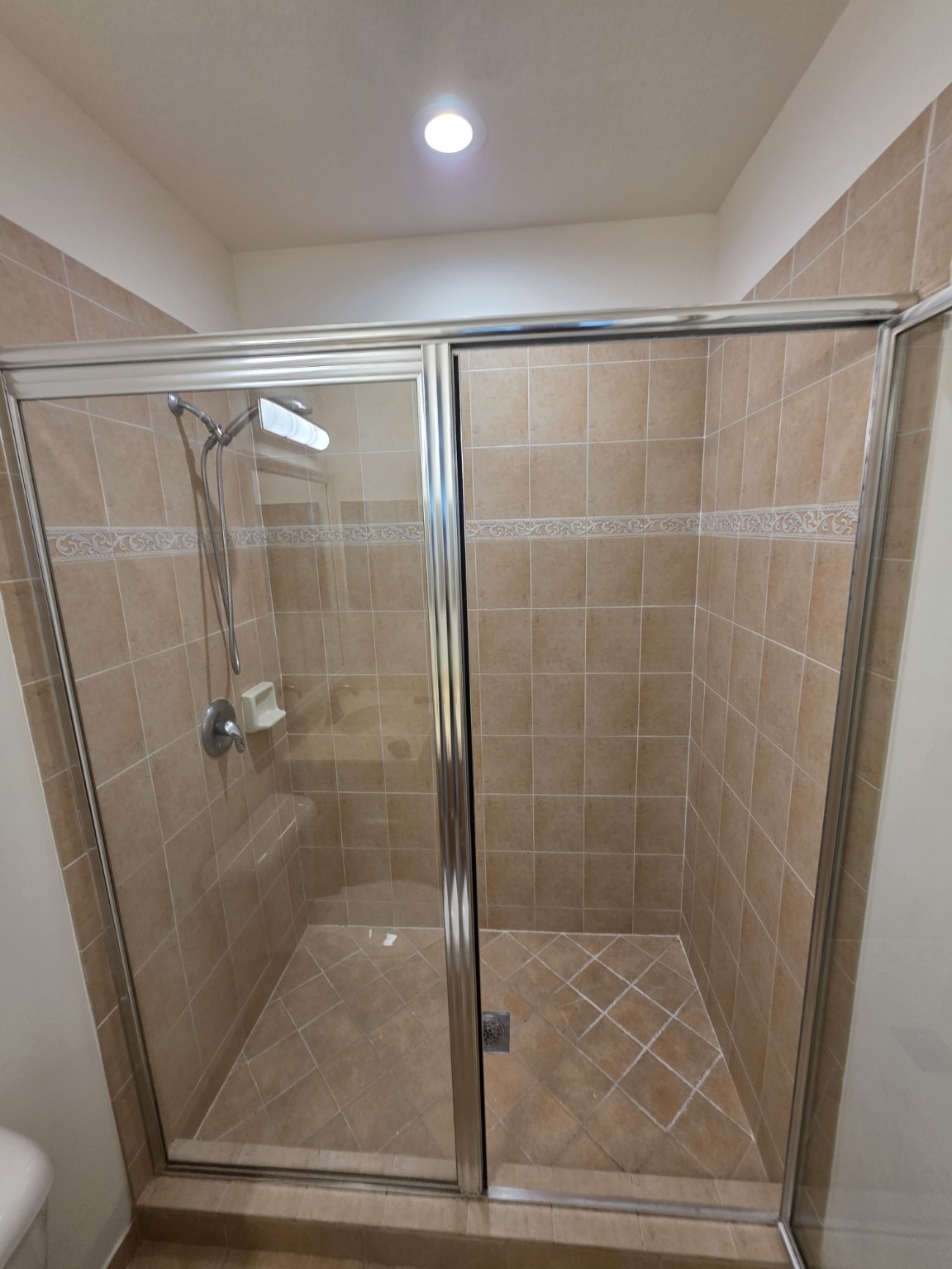 Original bathroom shower before renovation